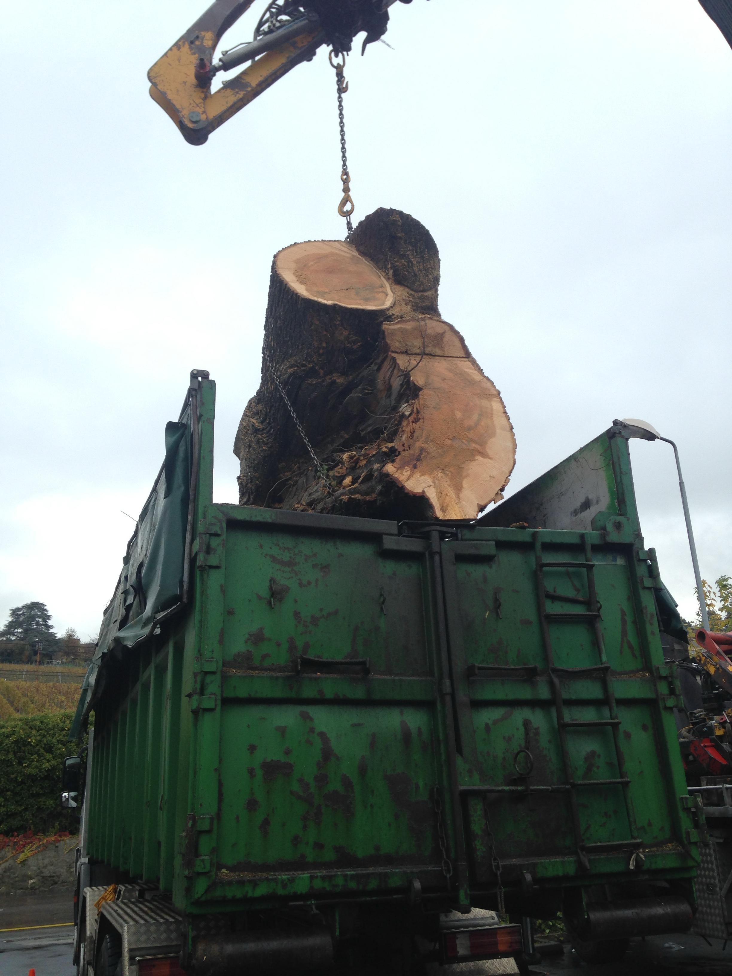 Évacuation de déchets verts par camion grue dans le Jura — SAS POLYVIER
